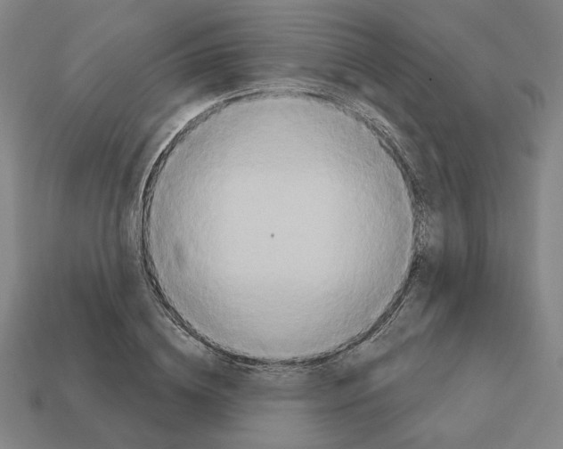 X0000111930836200909071236