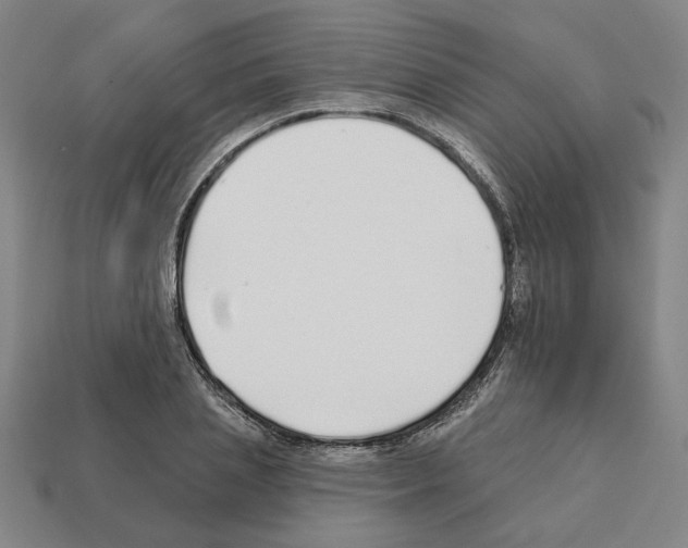 X0000111930837200909071236