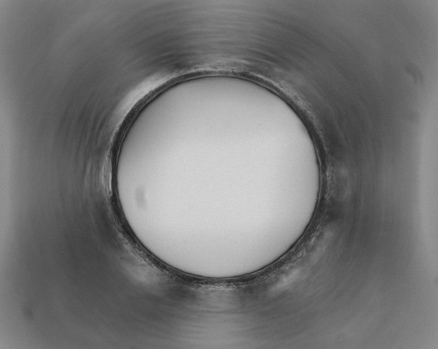 X0000111930838200909071236