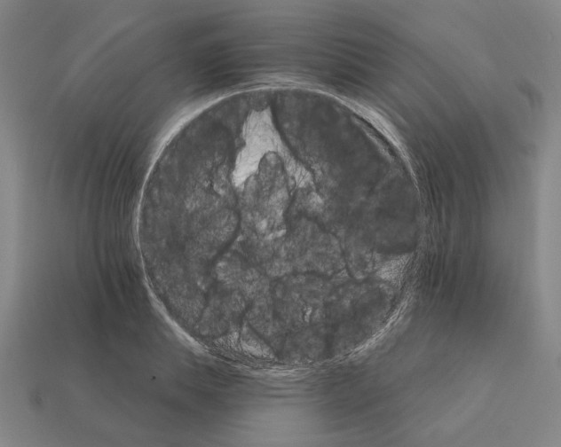 X0000111930839200909071236