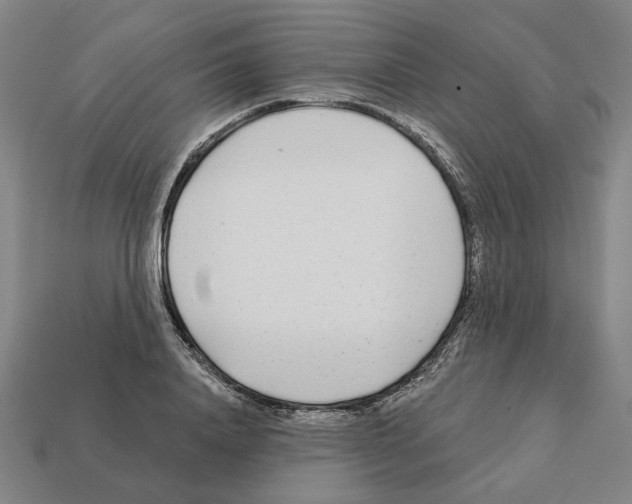 X0000111930840200909071236