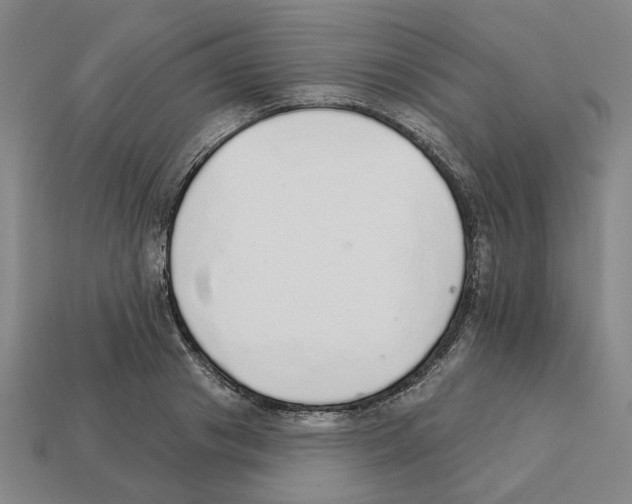 X0000111930841200909071236