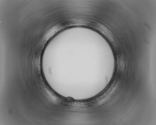 X0000111930842200909071236