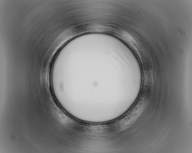 X0000111930843200909071236