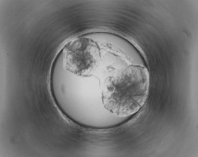 X0000111930845200909071236