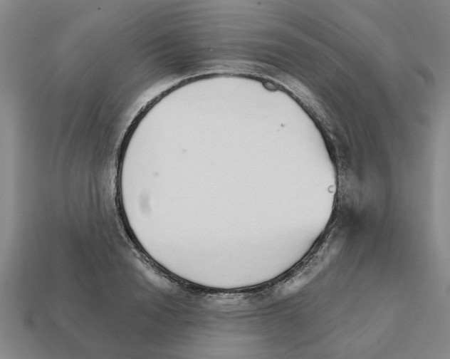 X0000111930846200909071236