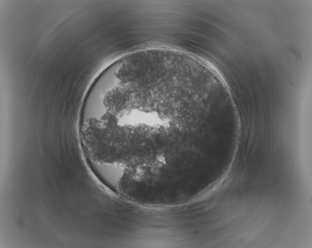 X0000111930847200909071236