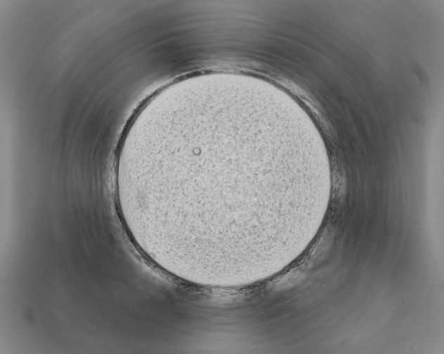 X0000111930848200909071236