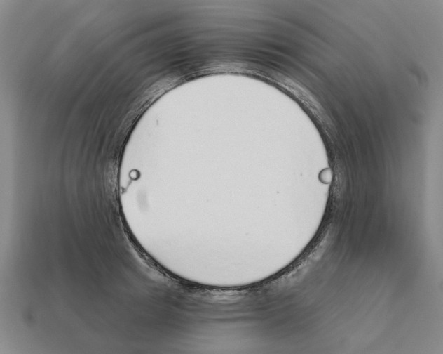 X0000111930849200909071236