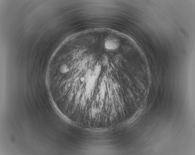 X0000111930851200909071236