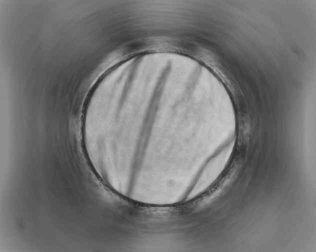 X0000111930853200909071236