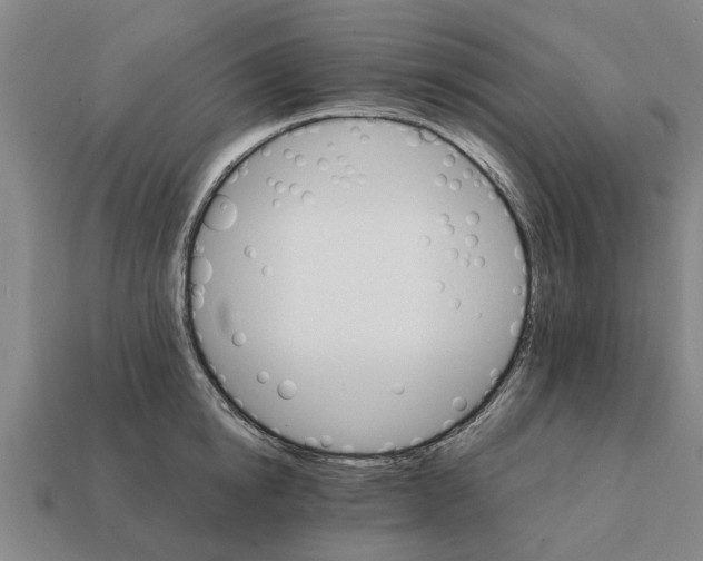 X0000111930854200909071237