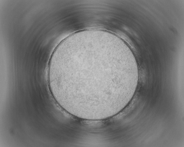 X0000111930856200909071237