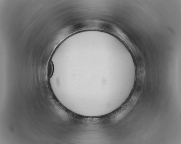 X0000111930858200909071237