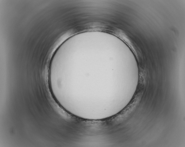 X0000111930859200909071237