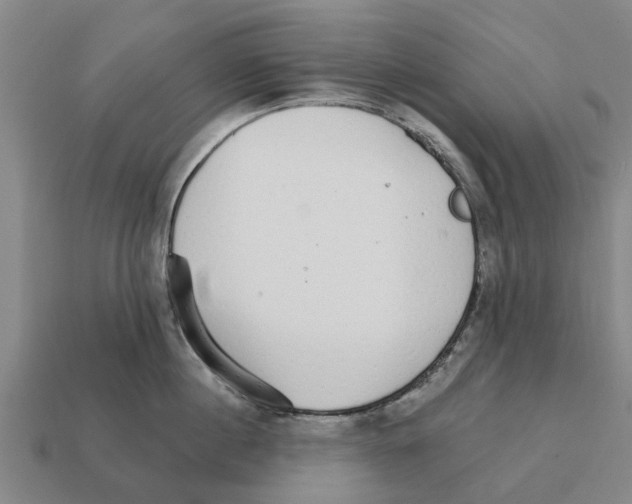 X0000111930860200909071237