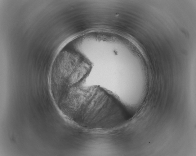 X0000111930861200909071237