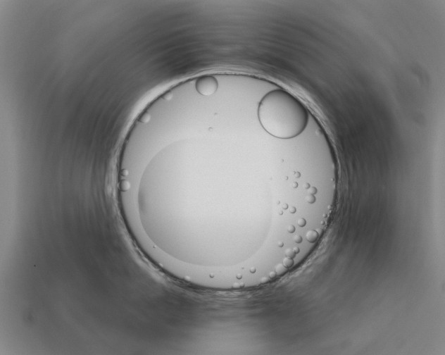 X0000111930862200909071237