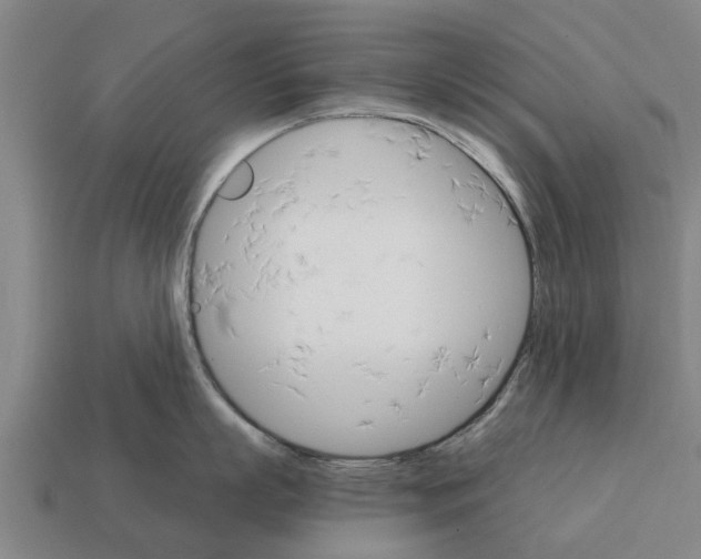 X0000111930863200909071237