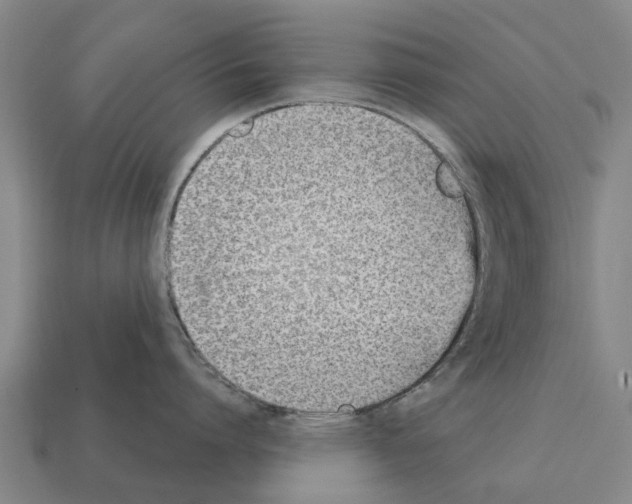 X0000111930864200909071237