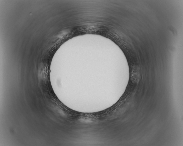 X0000111930866200909071236