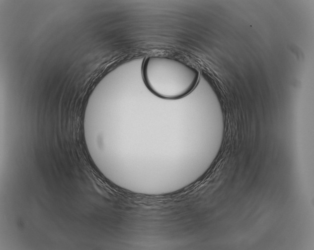 X0000111930868200909071236