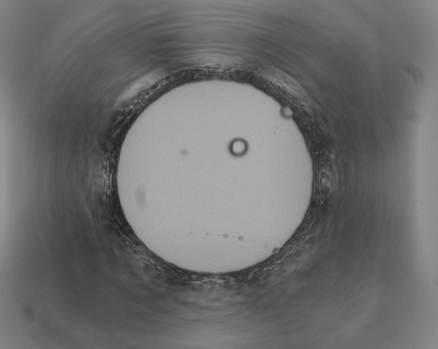 X0000111930869200909071236