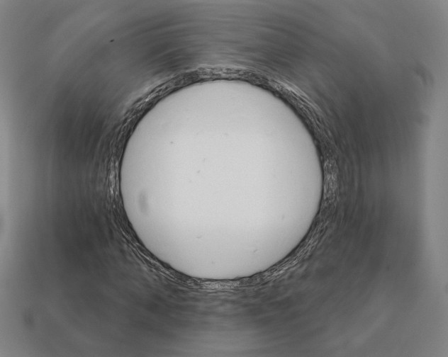 X0000111930870200909071236