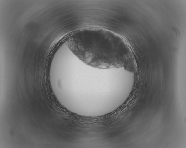 X0000111930871200909071236