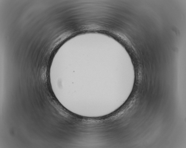 X0000111930873200909071236