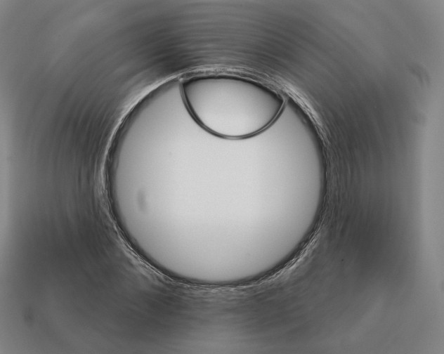 X0000111930876200909071236