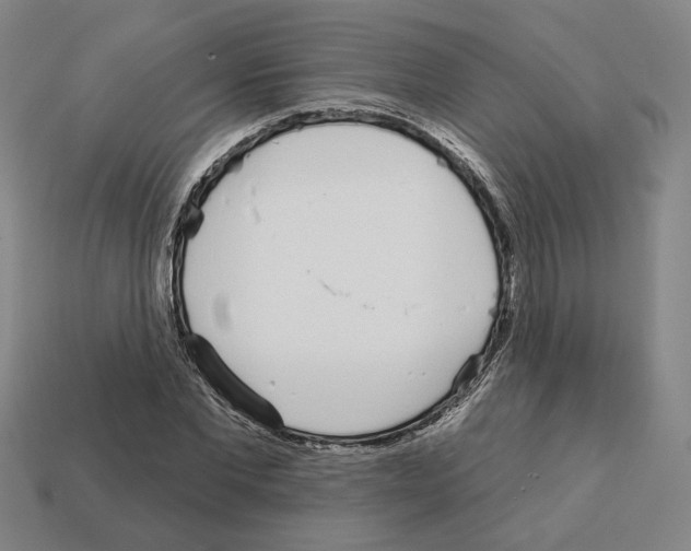 X0000111930877200909071236