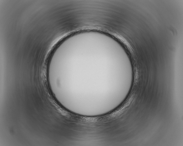 X0000111930878200909071236