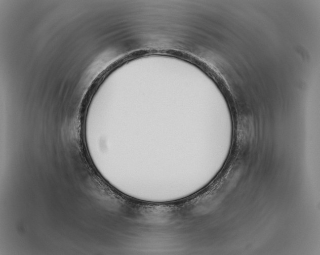 X0000111930879200909071236