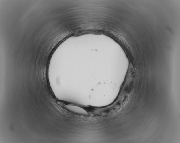 X0000111930881200909071236