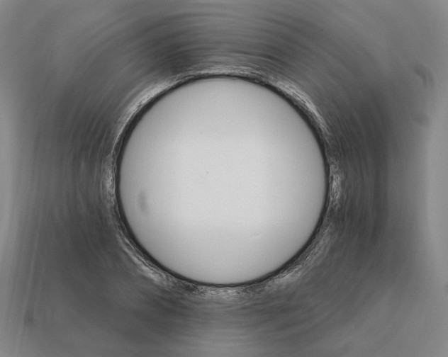 X0000111930882200909071236