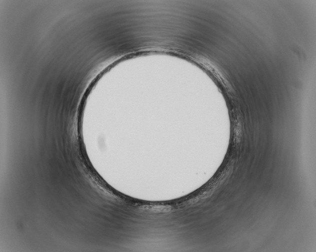 X0000111930884200909071236