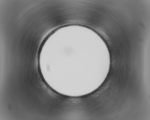 X0000111930888200909071236