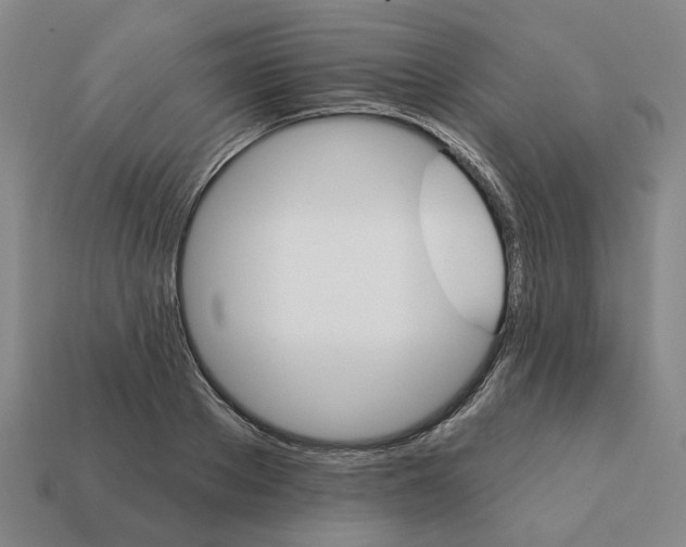 X0000111930889200909071236