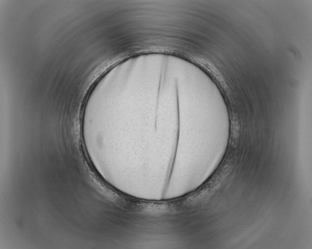 X0000111930890200909071236