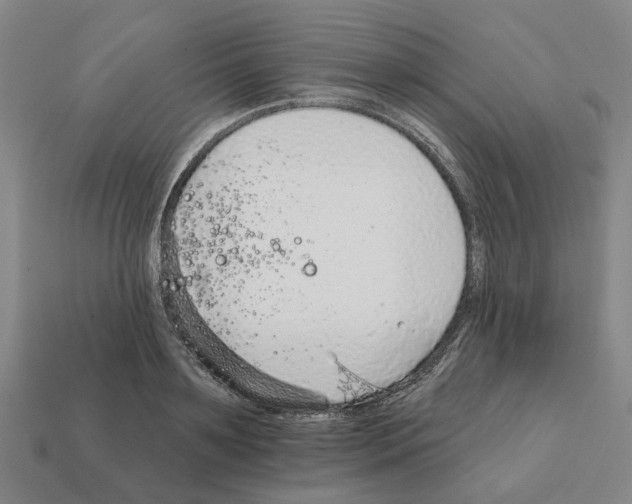 X0000111930891200909071236