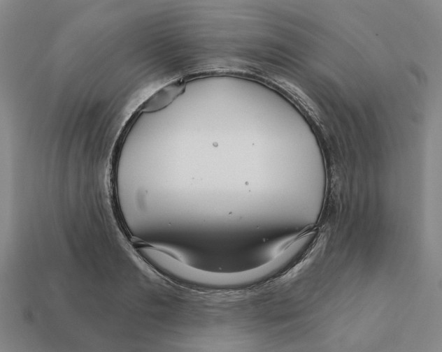 X0000111930893200909071236