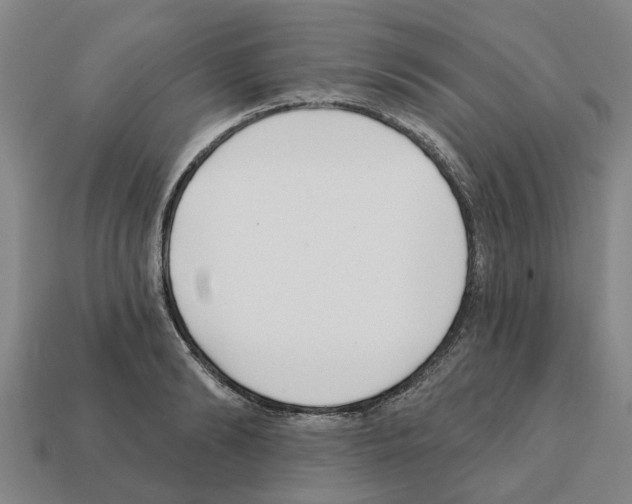 X0000111930894200909071236