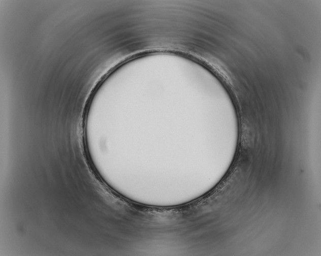 X0000111930895200909071236