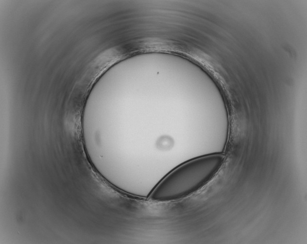 X0000111930897200909071236