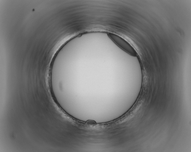 X0000111930901200909071236