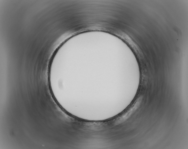 X0000111930902200909071236