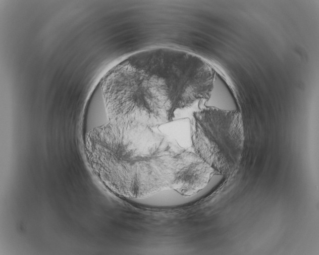 X0000111930903200909071235