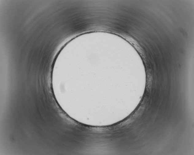 X0000111930904200909071235