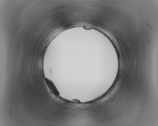 X0000111930905200909071235